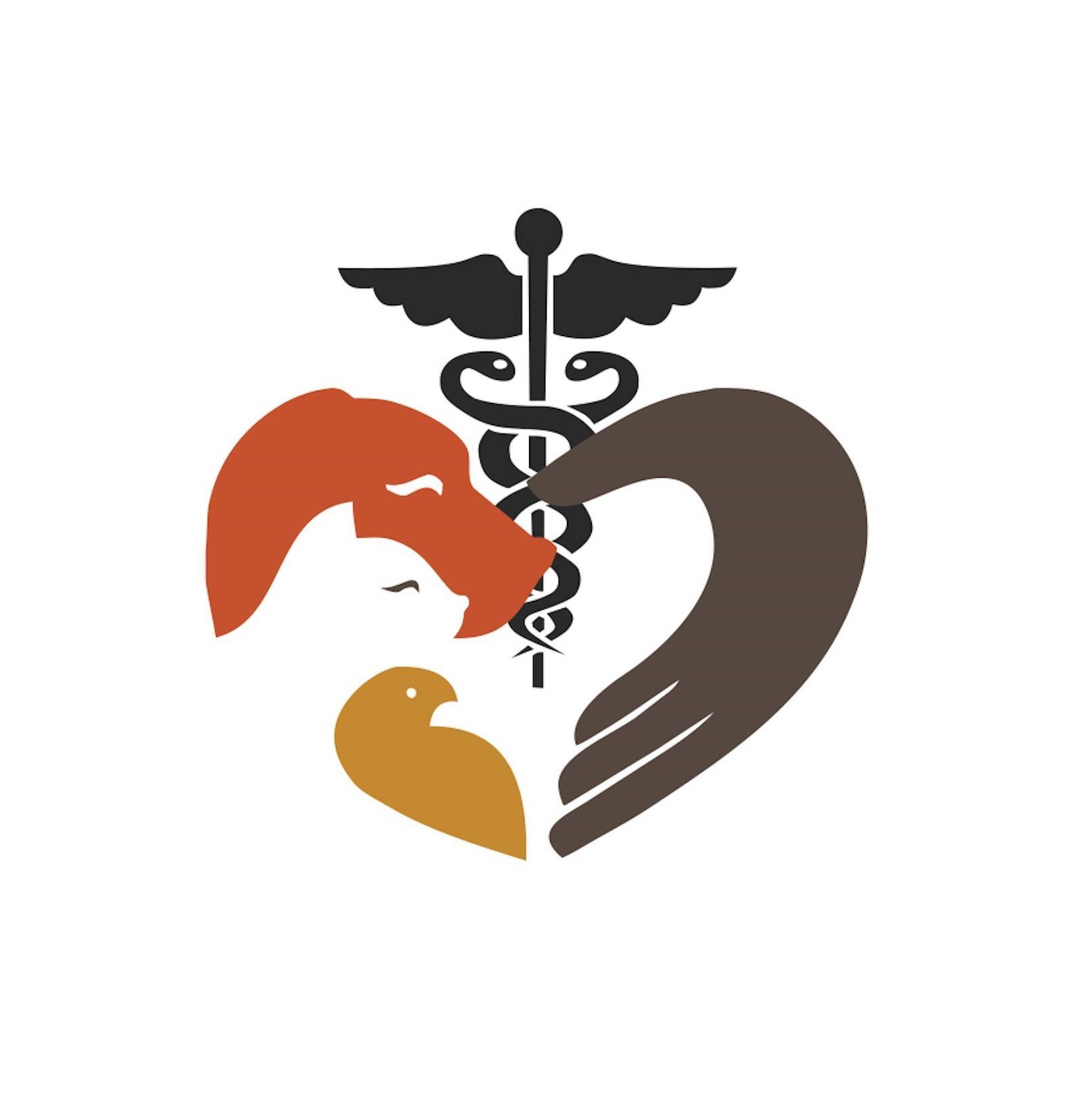 The City Vet Clinic Al Wasl (Pet Grooming Center) in Dubai Get Contact Number, Address