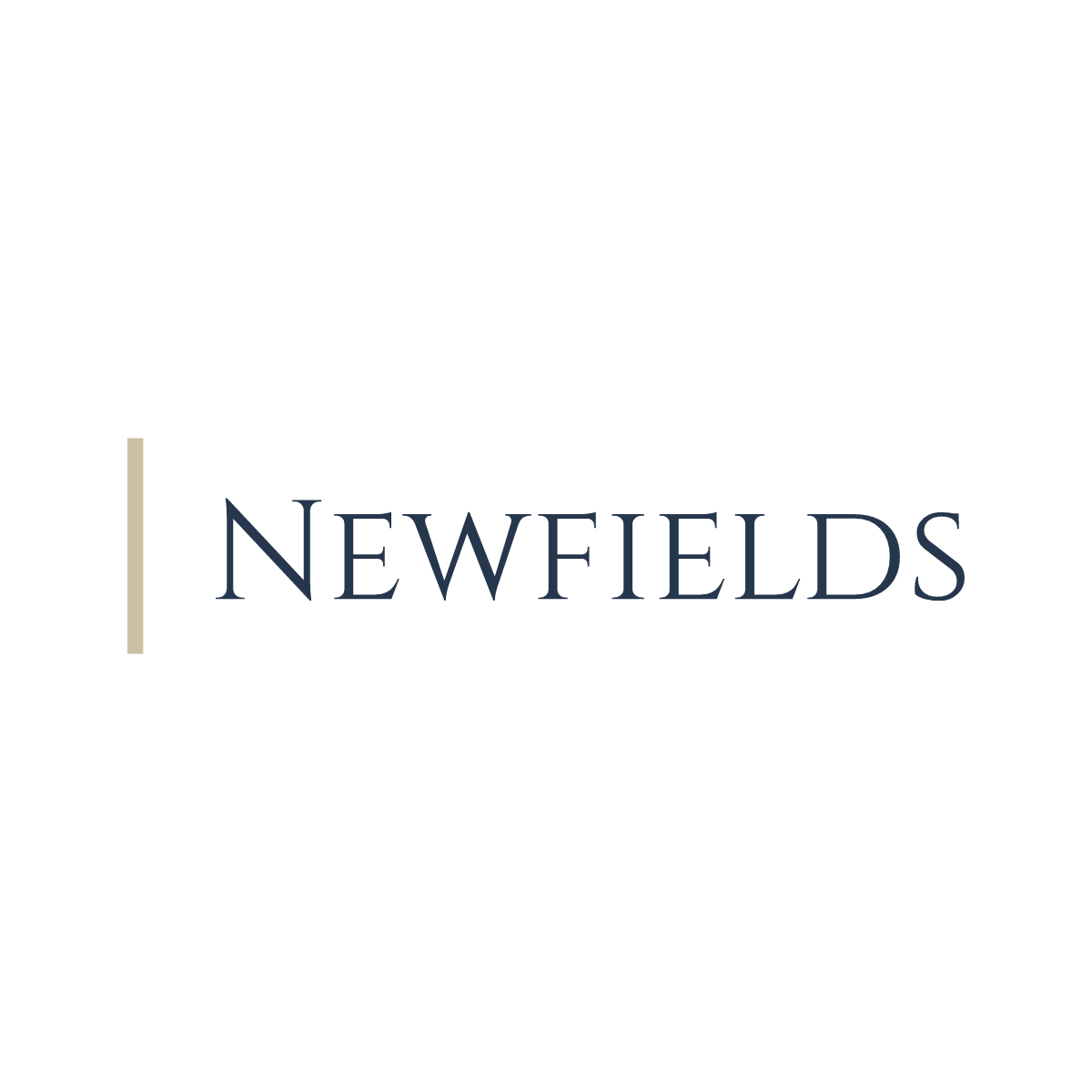 Newfields Group (Business Consultants ) in Dubai Get Contact Number