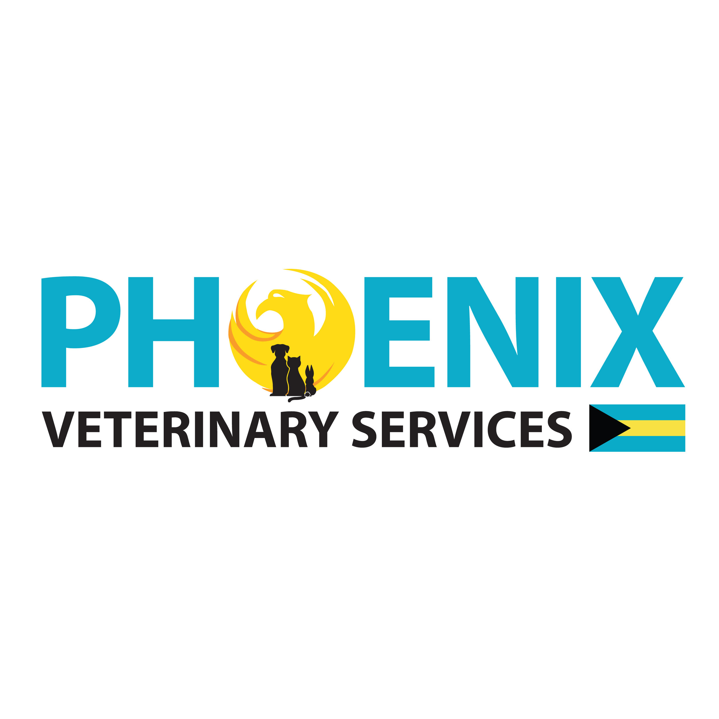 Phoenix Veterinary Clinic (Veterinary Doctor) in Dubai Get Contact Number, Address, Reviews