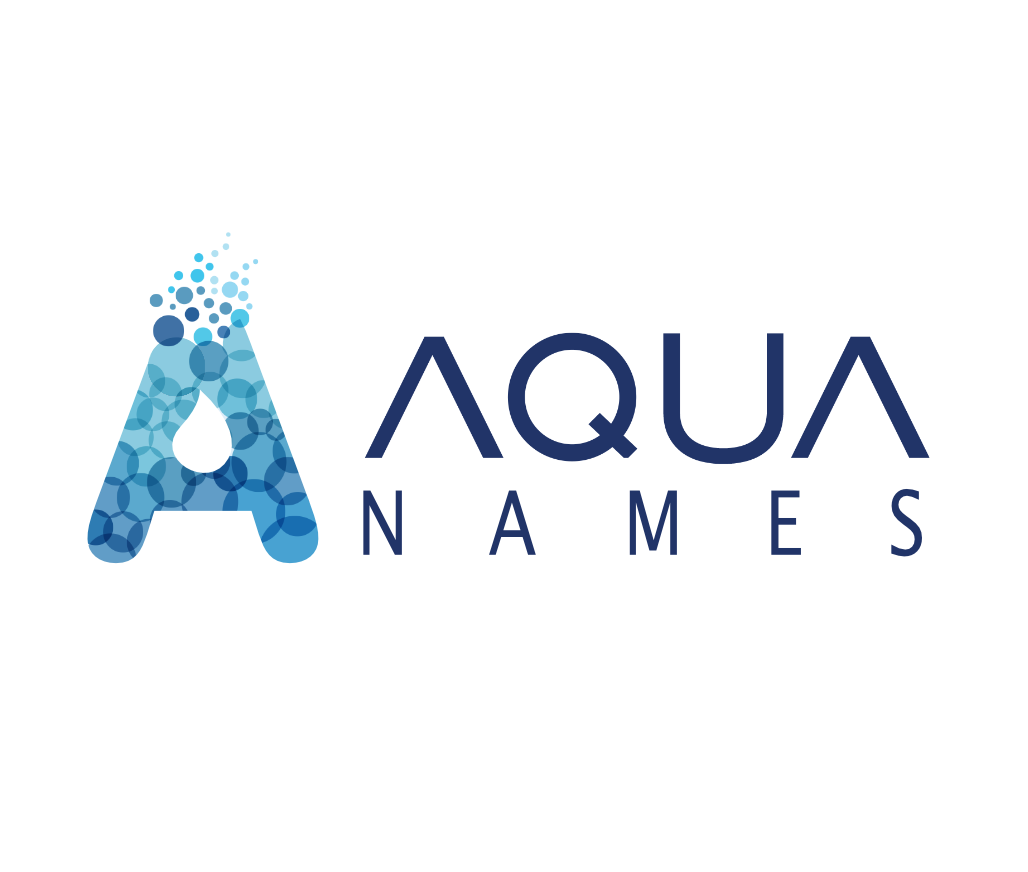 aqua-names-internet-service-providers-in-al-sufouh-get-contact