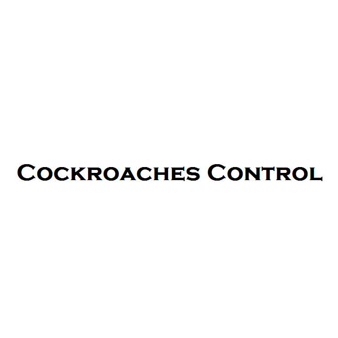Cockroaches Control (Pest control service) in Deira Get Contact