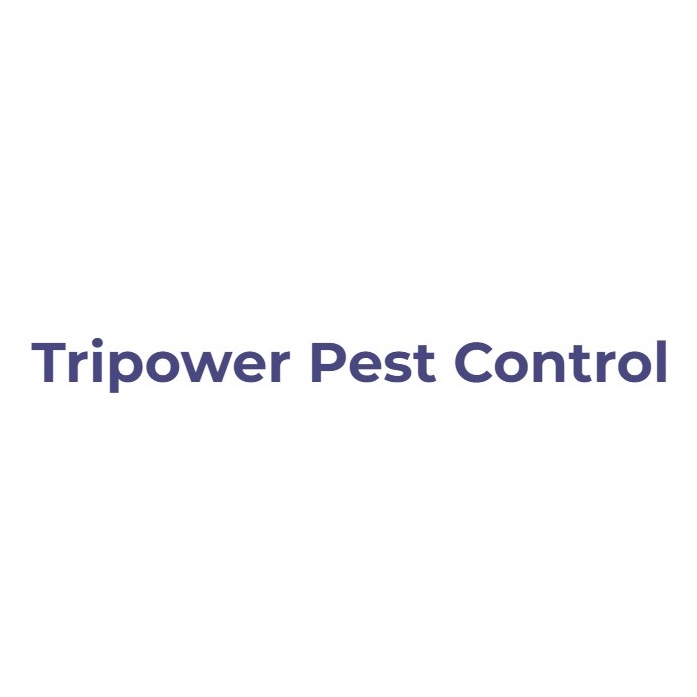 Tripower Pest Control (Pest control service) in Deira Get Contact