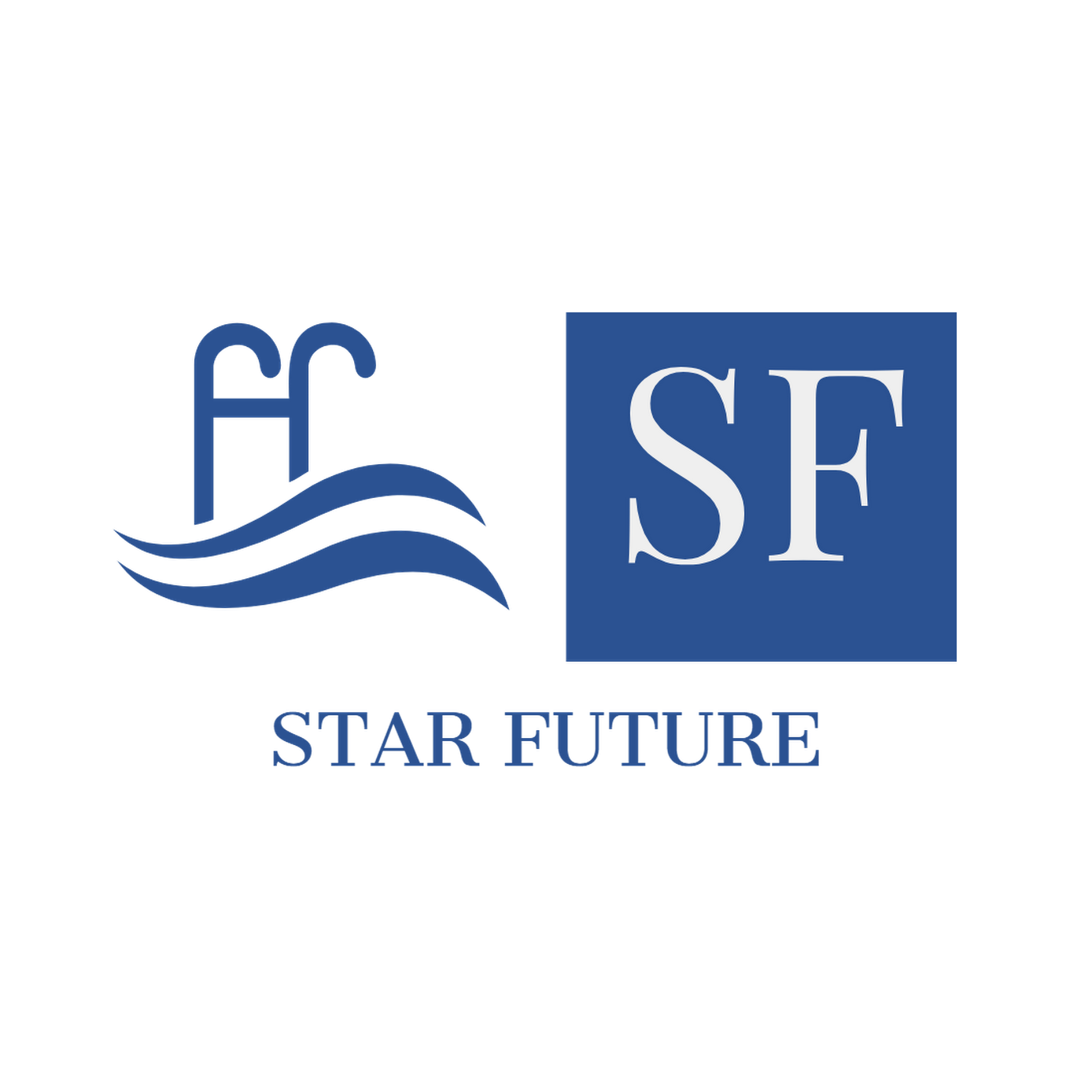 Star Future Swimming Pools Maintenance LLC (Swimming Pool Repair