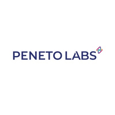 Peneto Cyber Risk Review LLC