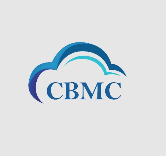 CBM Consultants LLC