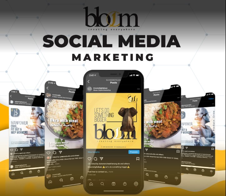 Bloom Digital Marketing (Graphic Designer ) in Business Bay Get