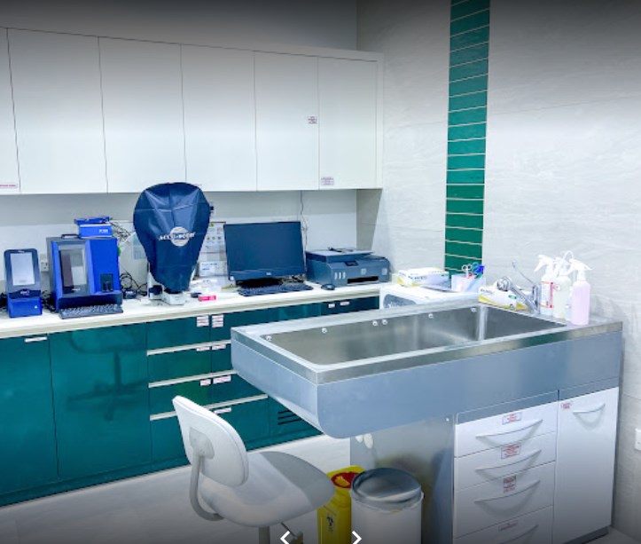 The City Vet Clinic (Pet Clinics and Hospitals) in Dubai Get Contact