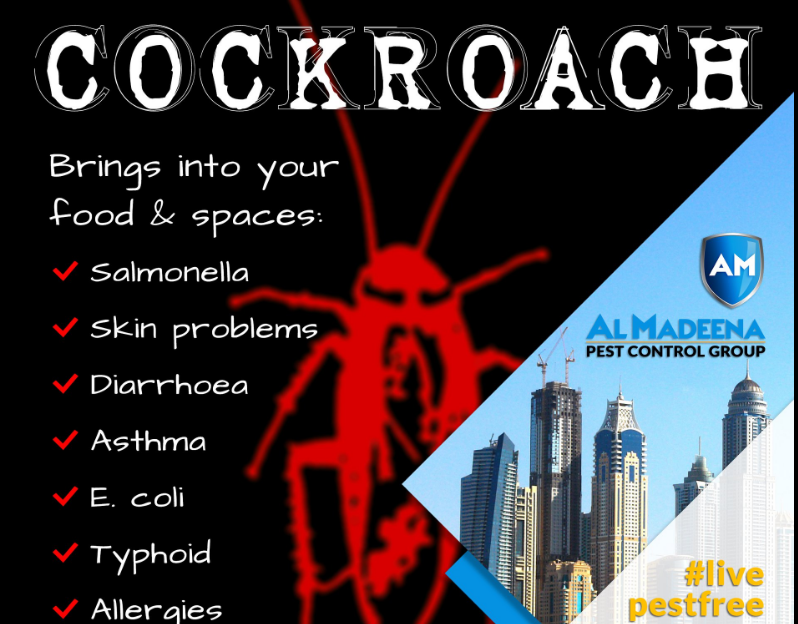 Al Madeena Pest Control Group (Pest control service) in Al Karama Get