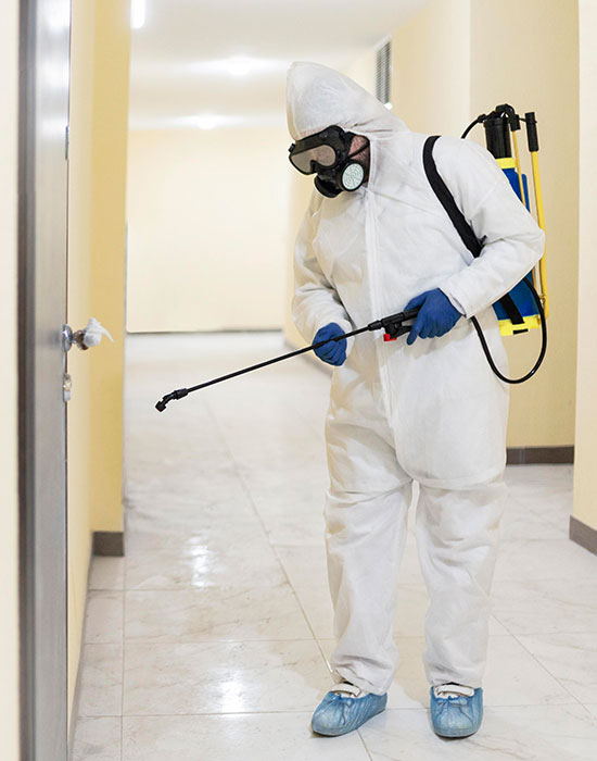 Trustco Pest Control & Cleaning Services (Pest control service) in