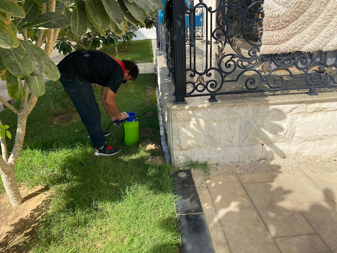 Mr Pest (Pest control service) in Al Karama Get Contact Number