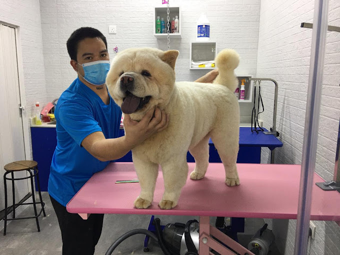 Barari Petsmart (Pet Grooming Center) in Dubai Get Contact Number
