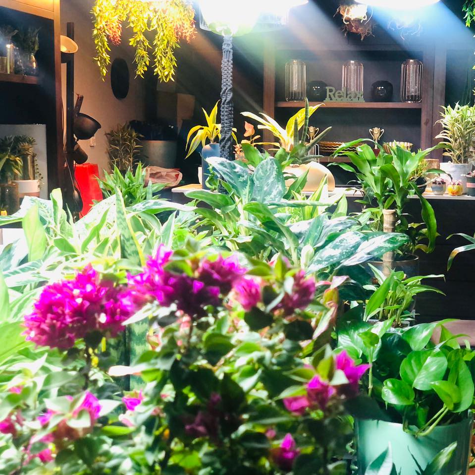Green Garden Flowers and Plants Trading (Plant Nurseries) in Dubai