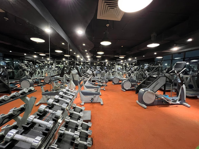Falcon GYM - DIBBA Al Fujairah - If you want to get in shape, don