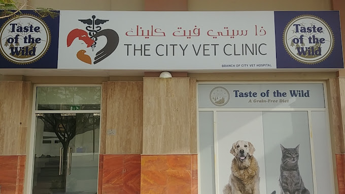 City sales vet clinic