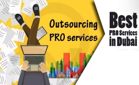 Perfect Pro Services Dubai