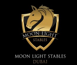Moonlight Stable