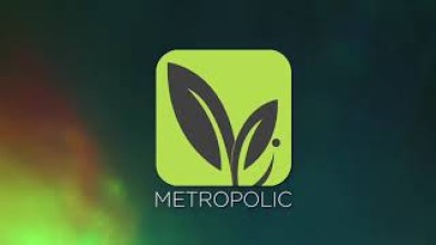 Metropolic Paper Industries LLC