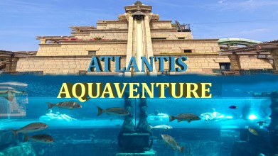 Atlantis Aquaventure & Lost Chambers Ticket, Dubai