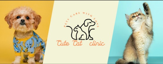 Cute Cat Veterinary Clinic