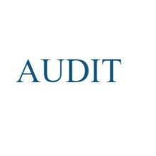 Audit Firms