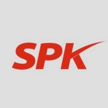 SPK Auditors And Accountants