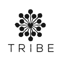 Tribe Studio