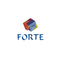 Forte IT Computer Solutions LLC