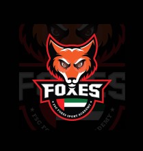 Foxes Sport Academy