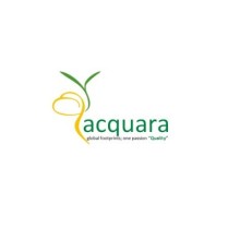 Acquara Management Consultant