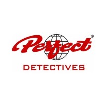 Perfect Detectives
