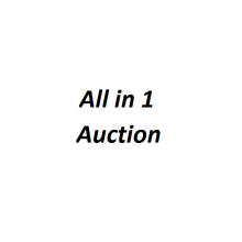 All in 1 Auction