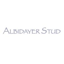 Albidayer Stud