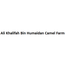 Ali Khalifah Bin Humaidan Camel Farm