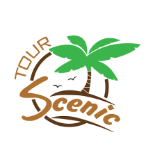 Scenic Tours