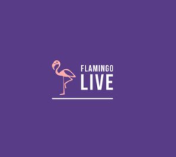 Flamingo Live