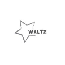 Waltz Solutions and Services LLC
