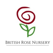 British Rose Nursery Dubai