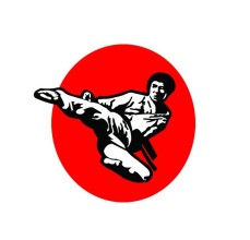 Golden Falcon Karate