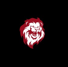 Lions Karate