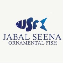 Jabal seena ornamental fish trading