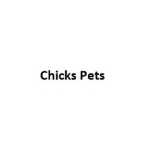 Chicks Pets