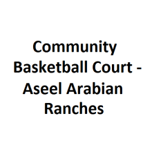 Community Basketball Court - Aseel Arabian Ranches