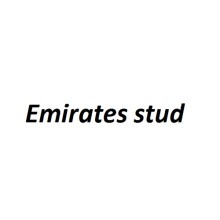Emirates stud