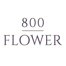 800 Flower - Park Island