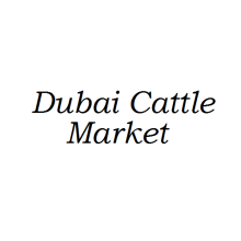 Dubai Cattle Market