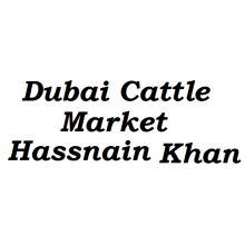 Dubai Cattle Market Hassnain Khan