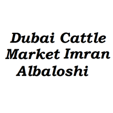 Dubai Cattle Market Imran Albaloshi