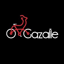 Gazalle Bicycle Repair
