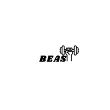 Beast Fitness Equipment