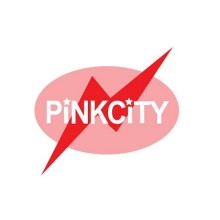 Pink City Pumps Trading - Al Hamar